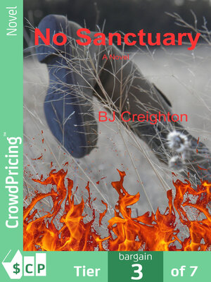 cover image of No Sanctuary
